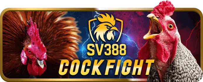 Tiền thưởng chào mừng thành viên mới shbet1 nổ hũ